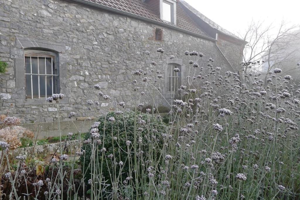 La Ferme Aux Oiseaux Séjour chez l'habitant Beaumont